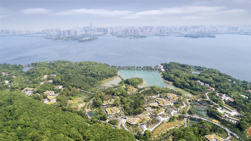 岳阳中华大熊猫苑